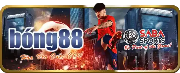 Tải JJ8 APP trên di động